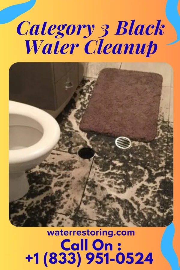 Category 3 Black Water Cleanup in Cumberland, IN